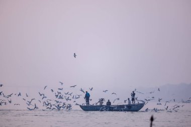 Varanasi, Uttar Pradesh, Hindistan - Kasım 2022: Turistler, Varanasi 'deki martı sürüsüyle birlikte nehir çetelerinde tekne gezintisinin keyfini çıkarıyorlar.