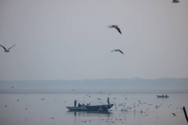 Varanasi, Uttar Pradesh, Hindistan - Kasım 2022: Turistler, Varanasi 'deki martı sürüsüyle birlikte nehir çetelerinde tekne gezintisinin keyfini çıkarıyorlar.