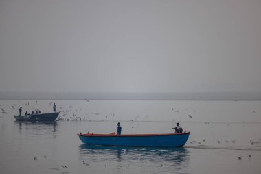 Varanasi, Uttar Pradesh, Hindistan - Kasım 2022: Turistler, Varanasi 'deki martı sürüsüyle birlikte nehir çetelerinde tekne gezintisinin keyfini çıkarıyorlar.