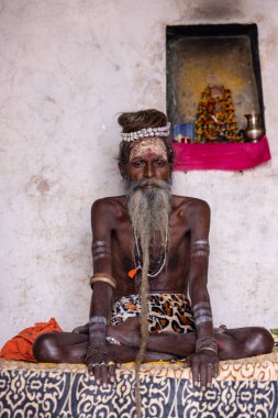Varanasi, Uttar Pradesh, Hindistan - 20 Kasım 2022: Nehir çeteleri yakınlarındaki Dashashwamedh ghat 'ta uzun beyaz sakallı tanımlanamayan Hintli kutsal sadhu erkek portresi 