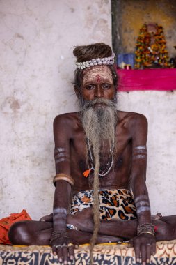 Varanasi, Uttar Pradesh, Hindistan - 20 Kasım 2022: Nehir çeteleri yakınlarındaki Dashashwamedh ghat 'ta uzun beyaz sakallı tanımlanamayan Hintli kutsal sadhu erkek portresi 