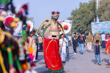 Bikaner, Rajasthan, Hindistan - 13 Ocak 2023: Deve Festivali, Rajasthani erkek bir sanatçının portresi renkli türbanla geleneksel renkli rajasthani elbiseler giyerek müzik aleti çalıyor.