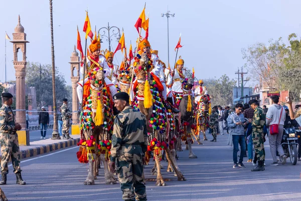 Bikaner Rajasthan India 2023 Január Teve Fesztivál Indiai Hadsereg Női — Stock Fotó