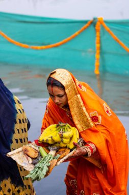 Gaziabad, Uttar Pradesh, Hindistan - 30 Ekim 2022: Chhas Puja, Hintli kadın dindar gün batımında Lord Sun 'a ibadet etmek için nehirde dururken Chhas puja ayini yapıyor..