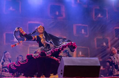 Puşkar, Rajasthan, Hindistan - Kasım 05 2022: Rajasthani halk dansları yapan kadın ressamın portresi geleneksel elbisesiyle pulkar fuarında gülümseyerek 