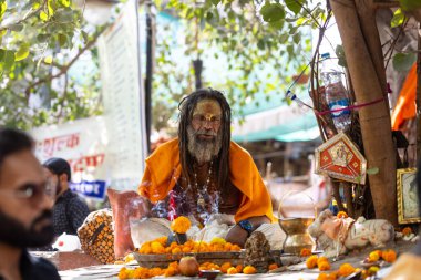 Pushkar, Rajasthan, Hindistan - Kasım 06 2022: Pushkar Fair, deve fuarı sırasında Pushkar 'da dua eden yaşlı bir sadhu babanın portresi