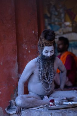 Varanasi, Uttar Pradesh, Hindistan - 05 Mart 2023: Varanasi 'deki çetelerin yakınındaki Dashashwamedh ghat' ta oturan yaşlı kutsal Naga sadhu baba 'nın portresi