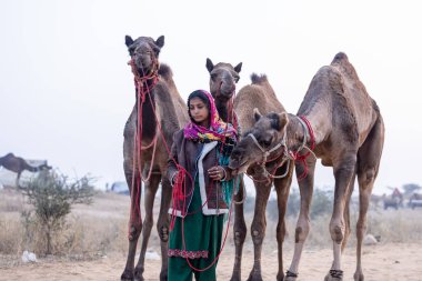 Pushkar, Rajasthan 'daki sisli kış sabahı Pushkar Camel Panayırı' nda deve taşıyan renkli bir Hintli kadının portresi..