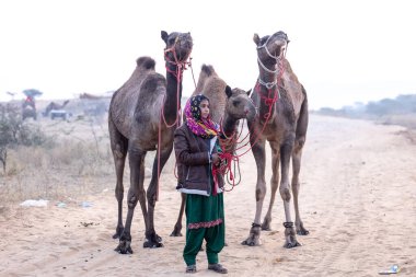 Pushkar, Rajasthan 'daki sisli kış sabahı Pushkar Camel Panayırı' nda deve taşıyan renkli bir Hintli kadının portresi..