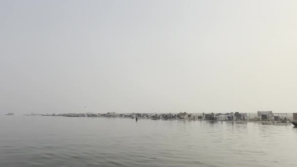ヴァラナシ ウッタルプラデシュ インド 2024年1月20日 早朝のヴァラナシのガンジス川の多くのシーガル — ストック動画