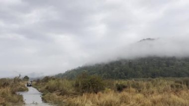 Jim Corbett Ormanı 'nda kış sabahı sisli bulutlu dağların manzarası.