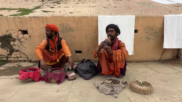 Varanasi Uttar Pradesh India March 2024 Group Male Snake Charmer — Stockvideo
