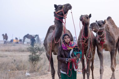 Pushkar, Rajasthan, India - November 24 2023: Portrait of an young Indian rajasthani woman in colorful traditional dress carrying camel at Pushkar Camel Fair ground during winter morning.