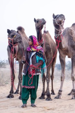 Pushkar, Rajasthan, India - November 24 2023: Portrait of an young Indian rajasthani woman in colorful traditional dress carrying camel at Pushkar Camel Fair ground during winter morning.