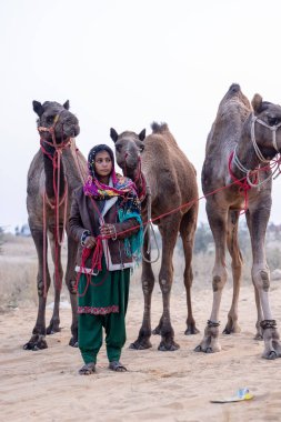 Pushkar, Rajasthan, India - November 24 2023: Portrait of an young Indian rajasthani woman in colorful traditional dress carrying camel at Pushkar Camel Fair ground during winter morning.