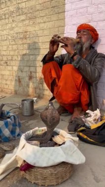 Varanasi, Uttar Pradesh, Hindistan - 21 Kasım 2022: Dashashwamedh ghat 'ta turistleri eğlendirmek için yılan dansı yapan kobra yılanlı yaşlı bir erkek yılan oynatıcısının videosu.