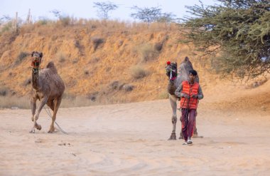 Puşkar, Rajasthan, Hindistan - 24 Kasım 2023: Genç bir Hintli Rajasthani çocuğunun portresi gündüz vakti Pushkar Camel Fuarı 'nda develere liderlik ediyor.