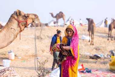 Puşkar, Rajasthan, Hindistan - 24 Kasım 2023: Pushkar Deve Fuarı sırasında renkli geleneksel elbise giymiş Hintli Rajasthani kadın portresi.