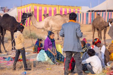 Pushkar, Rajasthan, Hindistan - 25 Kasım 2023: Kış sabahı Pushkar Deve Fuarı