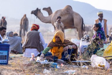 Pushkar, Rajasthan, Hindistan - 25 Kasım 2023: Kış sabahı Pushkar Deve Fuarı