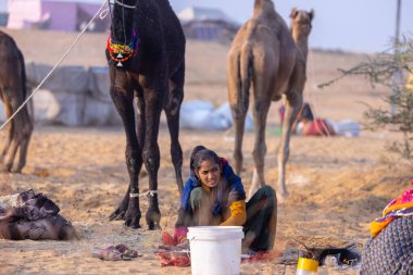 Pushkar, Rajasthan, Hindistan - 25 Kasım 2023: Kış sabahı Pushkar Deve Fuarı