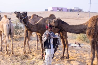 Puşkar, Rajasthan, Hindistan - 23 Kasım 2023: Geleneksel beyaz elbiseli ve renkli türbanlı bir adamın Pushkar deve fuarı sırasında develeriyle portresi. 