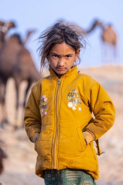 Pushkar, Rajasthan, Hindistan - 24 Kasım 2023: Pushkar Fair