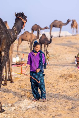 Puşkar, Rajasthan, Hindistan - 24 Kasım 2023: Pushkar Deve Fuarı sırasında genç Hintli Rajasthani kadının deveyle portresi.