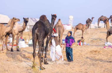 Puşkar, Rajasthan, Hindistan - 24 Kasım 2023: Pushkar Deve Fuarı sırasında babasıyla birlikte genç Hintli Rajasthani kadınının portresi. 
