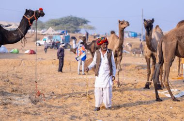 Puşkar, Rajasthan, Hindistan - 23 Kasım 2023: Geleneksel beyaz elbiseli ve renkli türbanlı bir adamın Pushkar deve fuarı sırasında develeriyle portresi. 