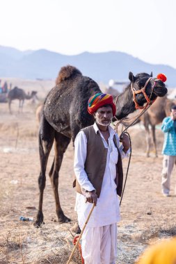 Puşkar, Rajasthan, Hindistan - 23 Kasım 2023: Pushkar deve fuarı sırasında devenin yanında duran geleneksel beyaz elbiseli ve renkli türbanlı yaşlı adamın portresi. 
