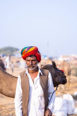Puşkar, Rajasthan, Hindistan - 23 Kasım 2023: Pushkar deve fuarı sırasında devenin yanında duran geleneksel beyaz elbiseli ve renkli türbanlı yaşlı adamın portresi. 