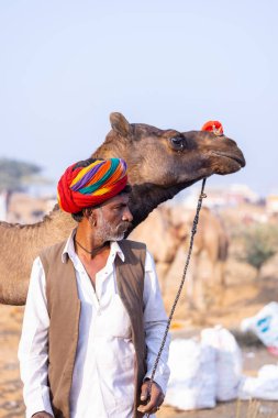 Puşkar, Rajasthan, Hindistan - 23 Kasım 2023: Pushkar deve fuarı sırasında devenin yanında duran geleneksel beyaz elbiseli ve renkli türbanlı yaşlı adamın portresi. 