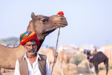 Puşkar, Rajasthan, Hindistan - 23 Kasım 2023: Pushkar deve fuarı sırasında devenin yanında duran geleneksel beyaz elbiseli ve renkli türbanlı yaşlı adamın portresi. 