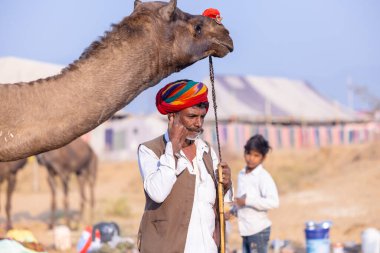 Puşkar, Rajasthan, Hindistan - 23 Kasım 2023: Pushkar deve fuarı sırasında devenin yanında duran geleneksel beyaz elbiseli ve renkli türbanlı yaşlı adamın portresi. 
