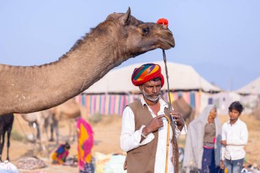 Puşkar, Rajasthan, Hindistan - 23 Kasım 2023: Pushkar deve fuarı sırasında devenin yanında duran geleneksel beyaz elbiseli ve renkli türbanlı yaşlı adamın portresi. 