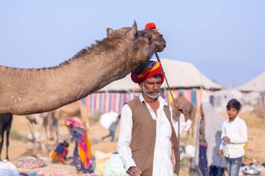 Puşkar, Rajasthan, Hindistan - 23 Kasım 2023: Pushkar deve fuarı sırasında devenin yanında duran geleneksel beyaz elbiseli ve renkli türbanlı yaşlı adamın portresi. 