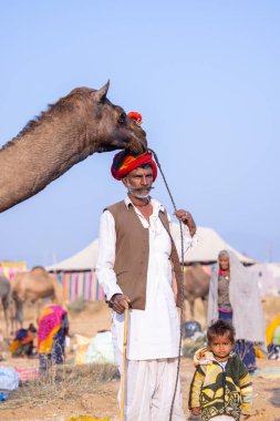 Puşkar, Rajasthan, Hindistan - 23 Kasım 2023: Geleneksel beyaz elbiseli ve renkli türbanlı yaşlı adamın portresi ve Pushkar deve fuarı sırasında devenin yanında duran küçük çocuk. 