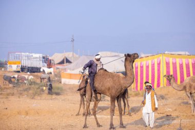 Puşkar, Rajasthan, Hindistan - 23 Kasım 2023: Pushkar deve fuarı sırasında geleneksel giysiler ve türbanlı erkeklerin portresi. 