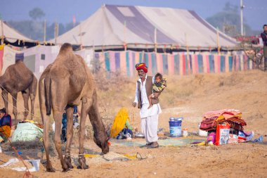 Pushkar, Rajasthan, Hindistan - 25 Kasım 2023: Kış sabahı Pushkar Deve Fuarı