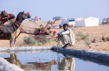 Puşkar, Rajasthan, Hindistan - 23 Kasım 2023: Develerini sulayan geleneksel beyaz elbiseli Rajasthan 'lı bir adamın portresi.