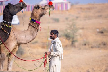 Puşkar, Rajasthan, Hindistan - 23 Kasım 2023: Geleneksel beyaz elbiseli insan portresi Pushkar deve fuarı sırasında madalyalı develeriyle ticaret yapıyor..  