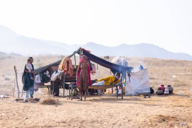 Pushkar, Rajasthan, Hindistan - 25 Kasım 2023: Kış sabahı Pushkar Deve Fuarı