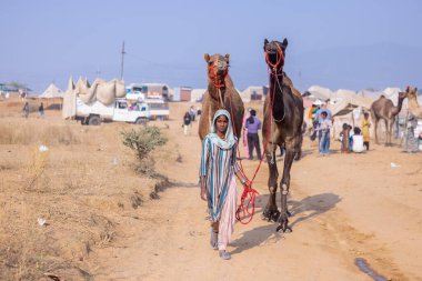 Pushkar, Rajasthan, Hindistan - 25 Kasım 2023: Kış sabahı Pushkar Deve Fuarı