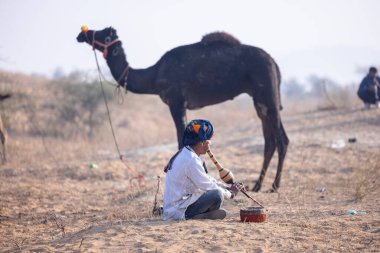 Pushkar, Rajasthan, Hindistan - 25 Kasım 2023: Kış sabahı Pushkar Deve Fuarı