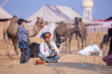 Pushkar, Rajasthan, Hindistan - 25 Kasım 2023: Kış sabahı Pushkar Deve Fuarı