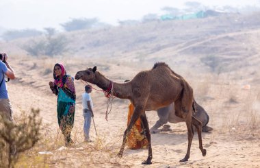 Pushkar, Rajasthan, Hindistan - 25 Kasım 2023: Kış sabahı Pushkar Deve Fuarı