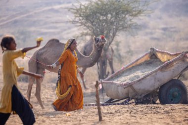 Pushkar, Rajasthan, Hindistan - 25 Kasım 2023: Kış sabahı Pushkar Deve Fuarı