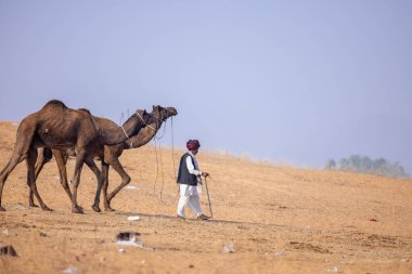Pushkar, Rajasthan, Hindistan - 24 Kasım 2023: Pushkar Fair