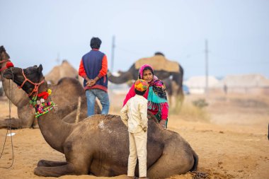 Pushkar, Rajasthan, Hindistan - 25 Kasım 2023: Kış sabahı Pushkar Deve Fuarı